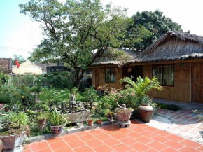Отель Tam Coc Palm House  Ninh Bình